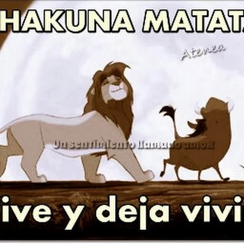 Meet your Posher, Ana